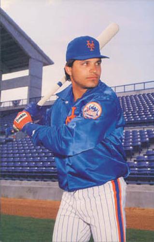  1989 Fleer #29 Mark Carreon New York Mets Baseball Cards NM  Near Mint Baseball Card : Collectibles & Fine Art