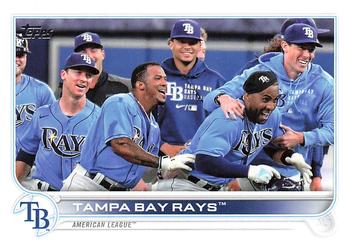 Tampa Bay Rays camo baseball uniforms  Tampa bay rays, Baseball prospects,  Baseball uniforms