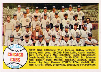 Chicago Cubs MLB Baseball Card Lot 25+ Cards Various Years 1980-2010 VG!