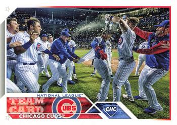 Chicago Cubs / 1000 Cubs Baseball Cards - All Different with 2022