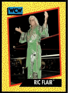 1991 Impel WCW Wrestling Ric Flair #45