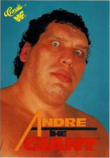 1990 Classic WWF André the Giant #66