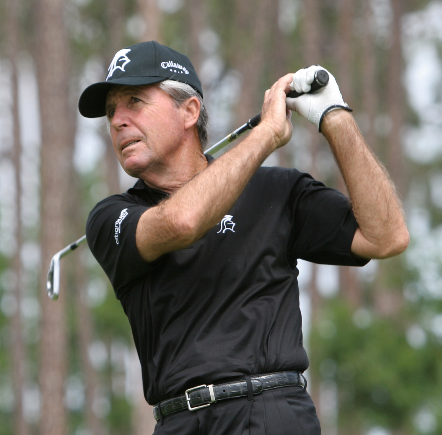 Gary Player - Trading Cards: Value, Tracking & Pricecharting
