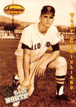 Tony Conigliaro Baseball Cards Tell Story of Brief, Brilliant Career