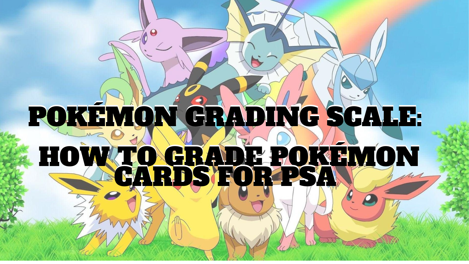 How to Grade Pokemon Cards For PSA