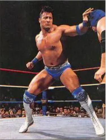 1997 Panini WWF Superstars Stickers The Rock #113