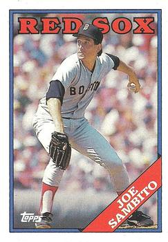  1978 Topps #498 Joe Sambito EX Excellent Houston Astros  Baseball MLB : Collectibles & Fine Art