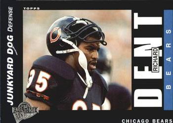 1991 Chicago Bears vs. Buffalo Bills Program Richard Dent Cover Roster Card